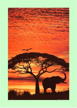 african sunset