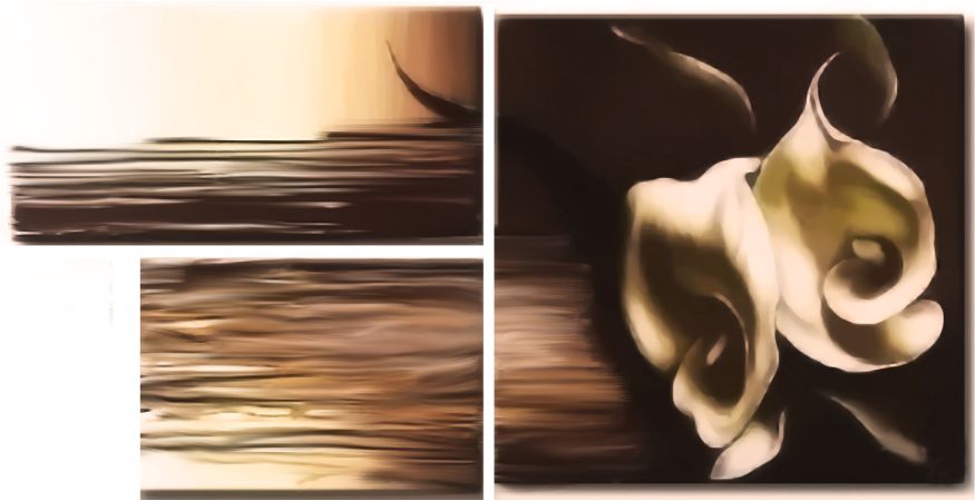 multicanvas modern cu flori - cale albe  multicanvas modern cu flori - cale albe