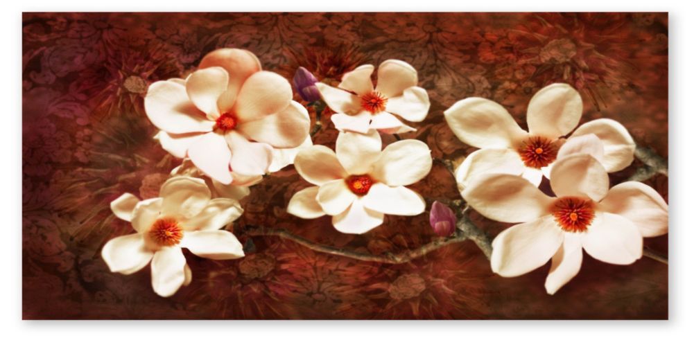 deco magnolie