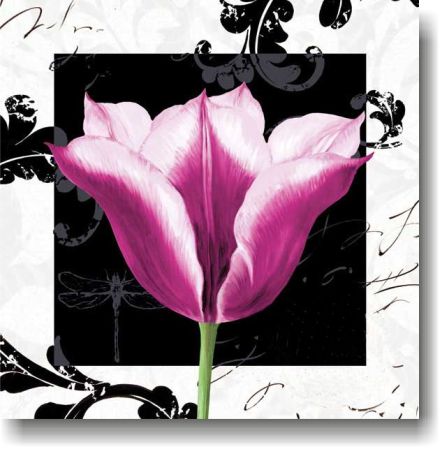 lalea, decor modern II lalea, decor modern II