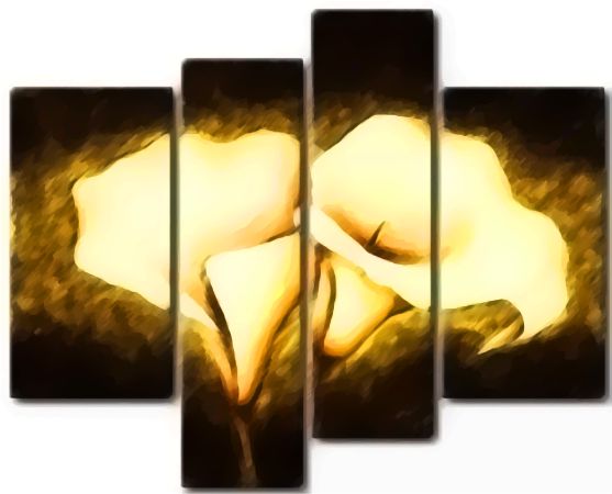 tablouri cu flori - cale albe  tablouri cu flori - cale albe